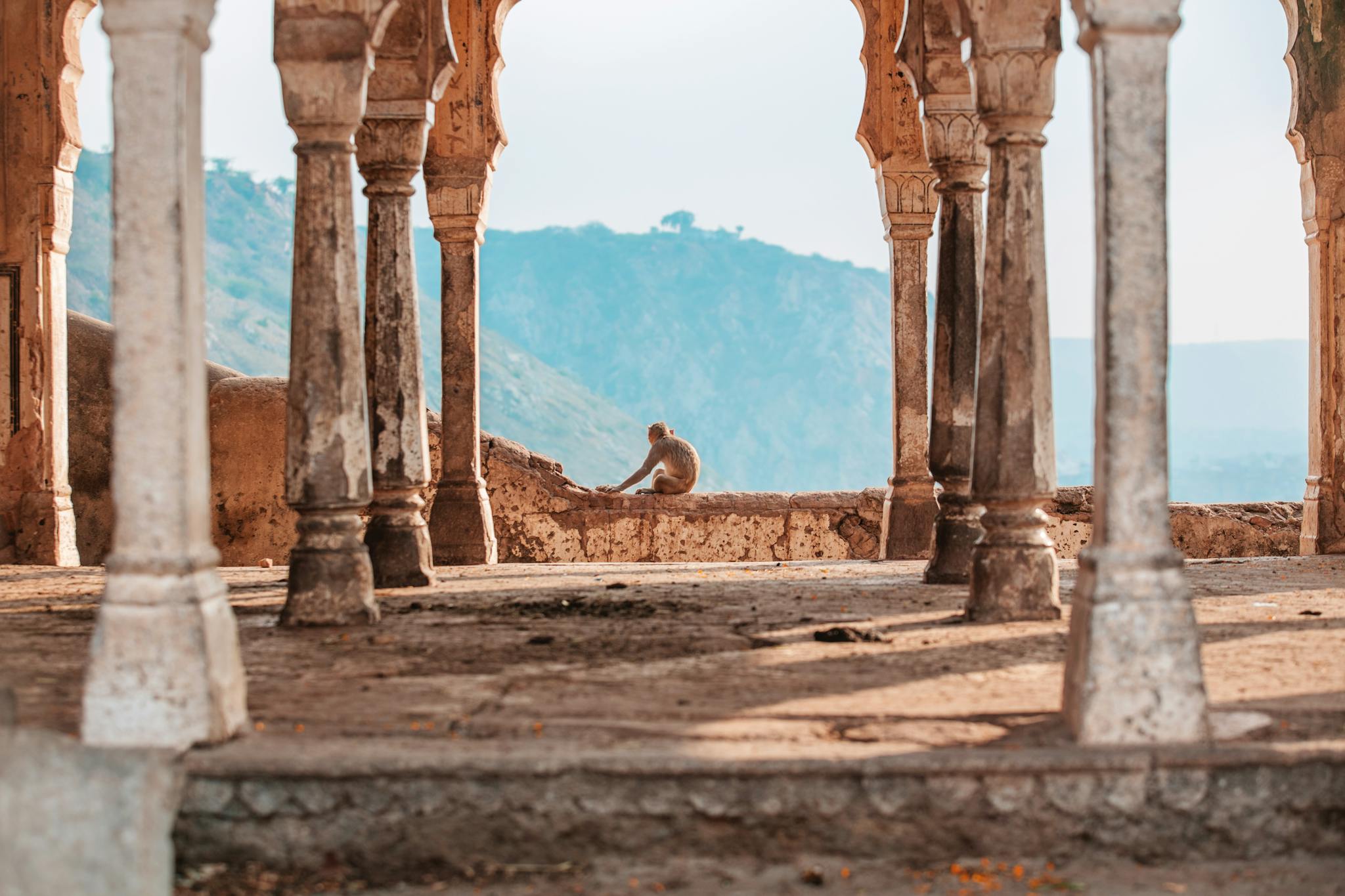 Ancient temple columns and monkey